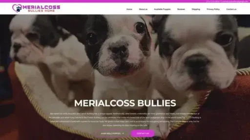 Screenshot of