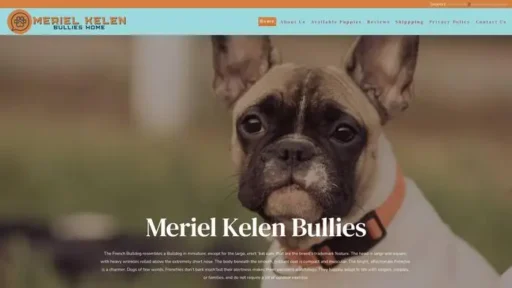 Screenshot of