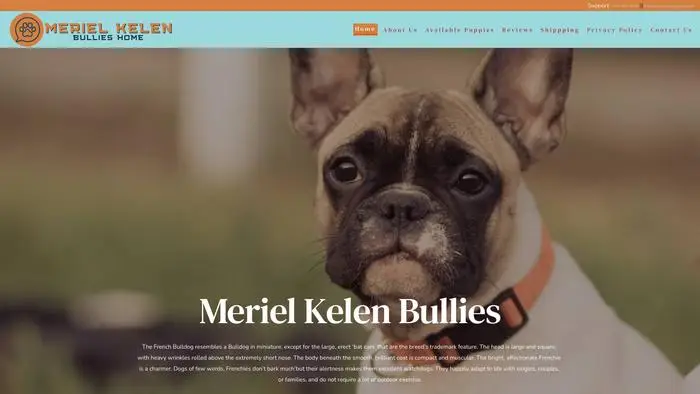 Screenshot of