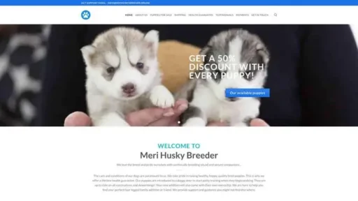 Screenshot of