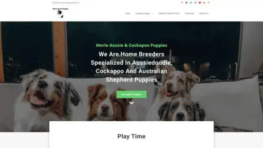 Screenshot of