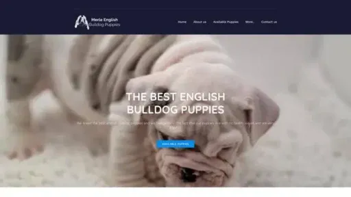 Screenshot of