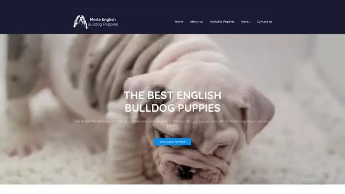 Screenshot of