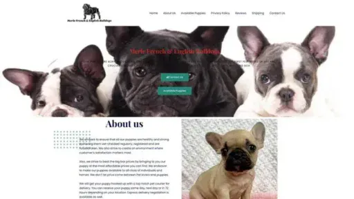 Screenshot of