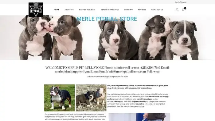 Screenshot of