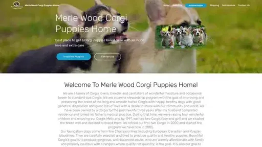 Screenshot of