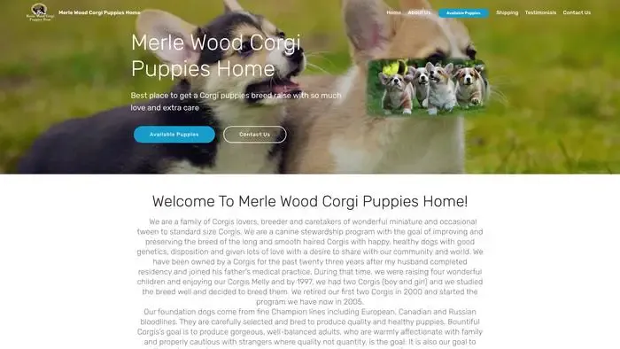 Screenshot of