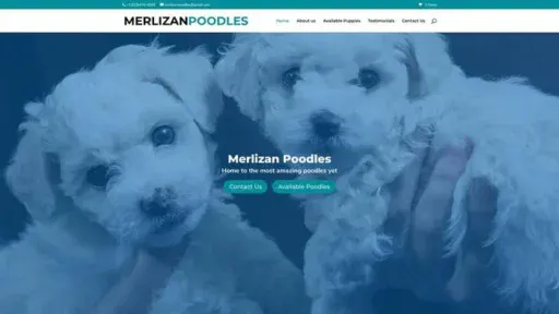 Screenshot of