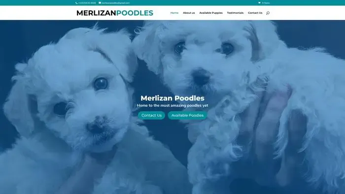 Screenshot of