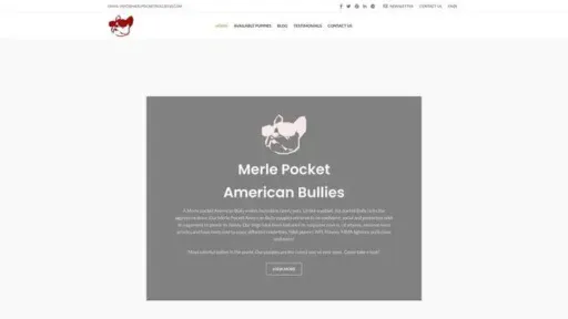 Screenshot of