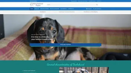 Screenshot of