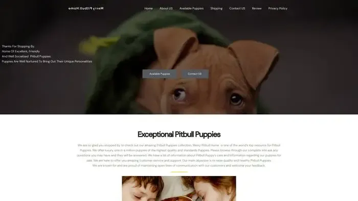 Screenshot of