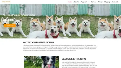 Screenshot of