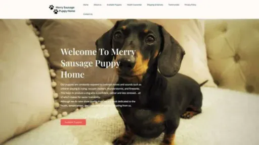 Screenshot of||