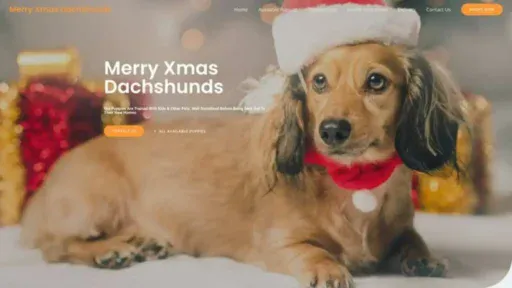 Screenshot of||