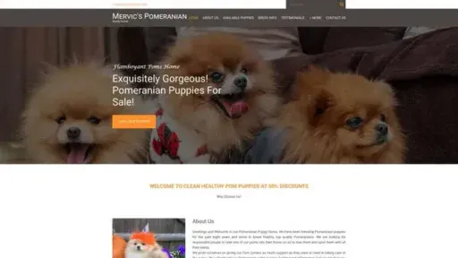 Screenshot of