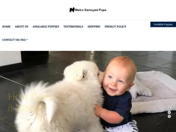 Screenshot of