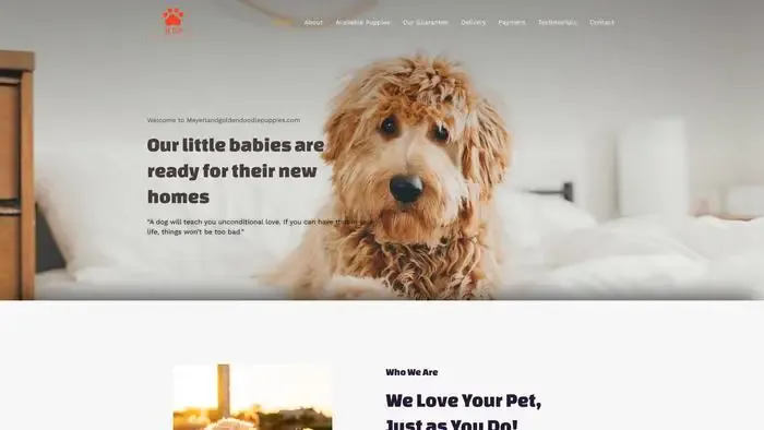 Screenshot of