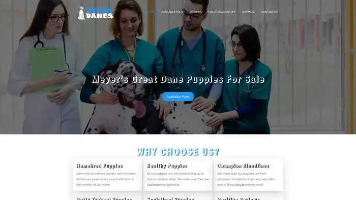 Screenshot of