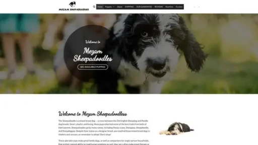 Screenshot of