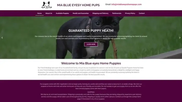 Screenshot of
