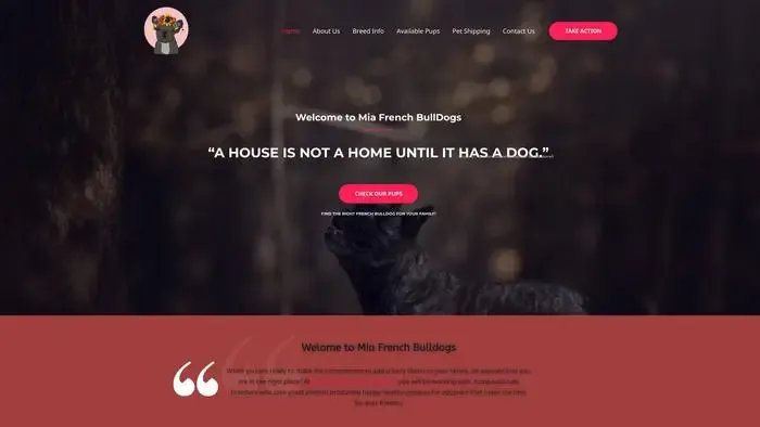 Screenshot of