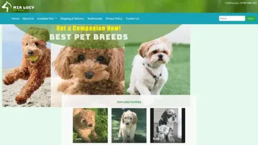 Screenshot of