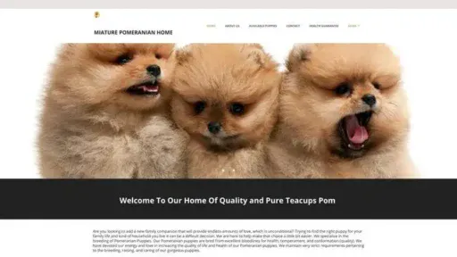 Screenshot of