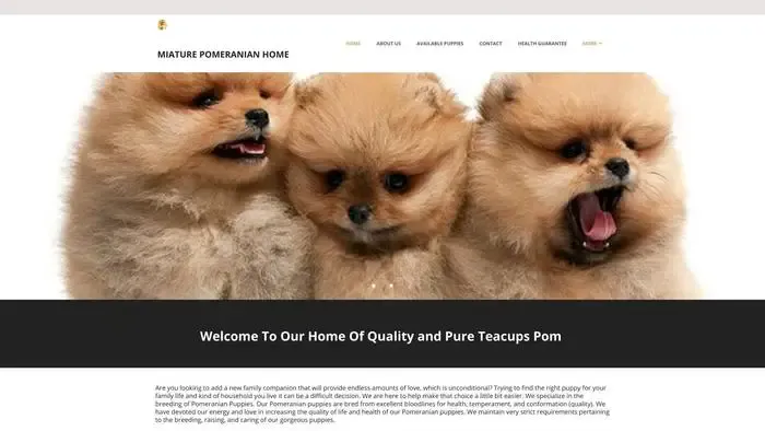 Screenshot of