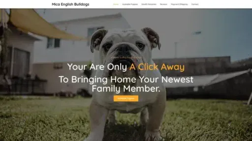 Screenshot of