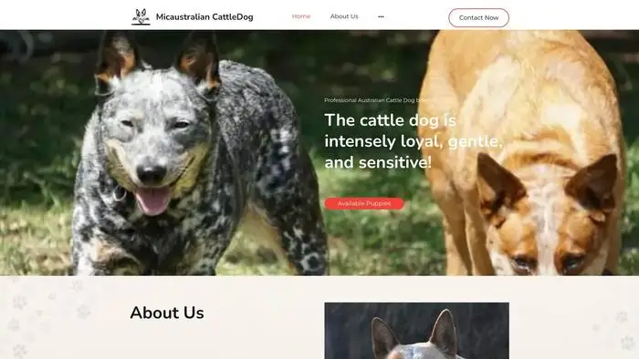 Screenshot of