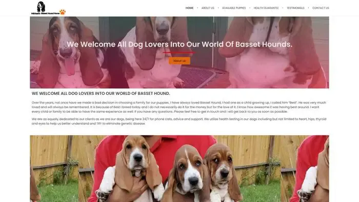 Screenshot of