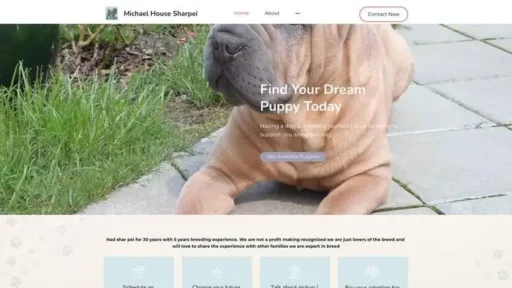 Screenshot of