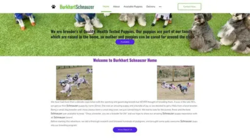 Screenshot of||