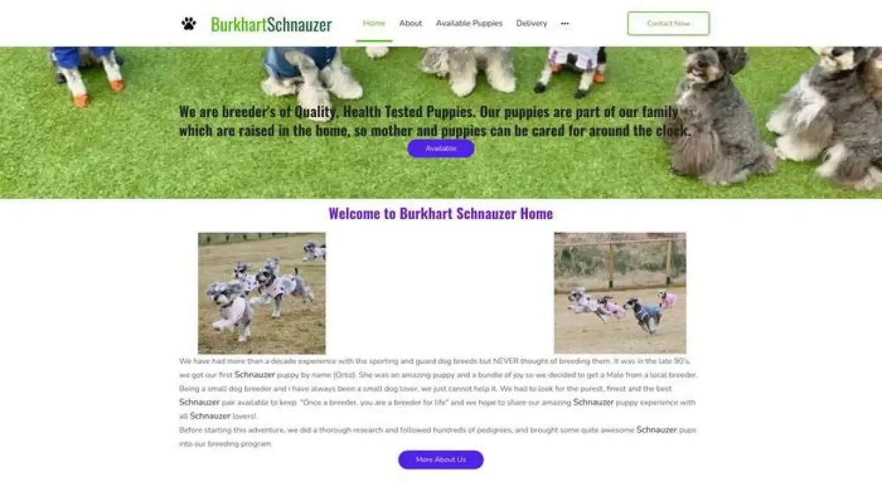 Screenshot of||