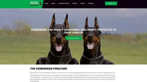 Screenshot of