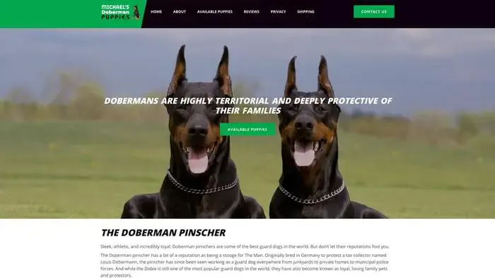 Screenshot of