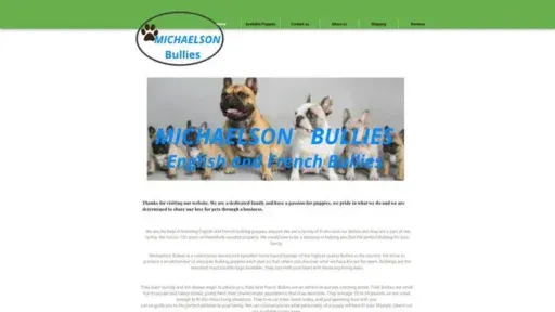 Screenshot of