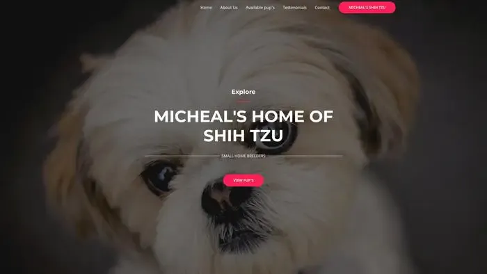 Screenshot of