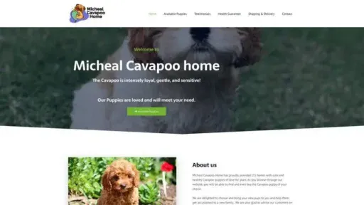 Screenshot of