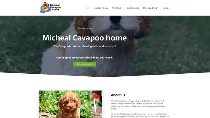 Screenshot of