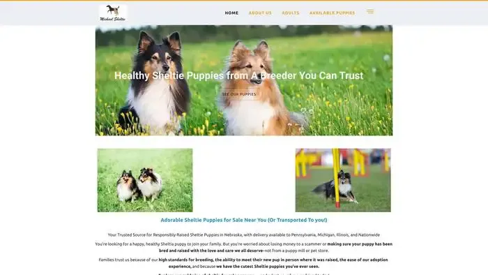 Screenshot of