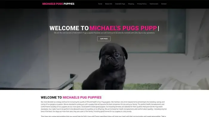 Screenshot of