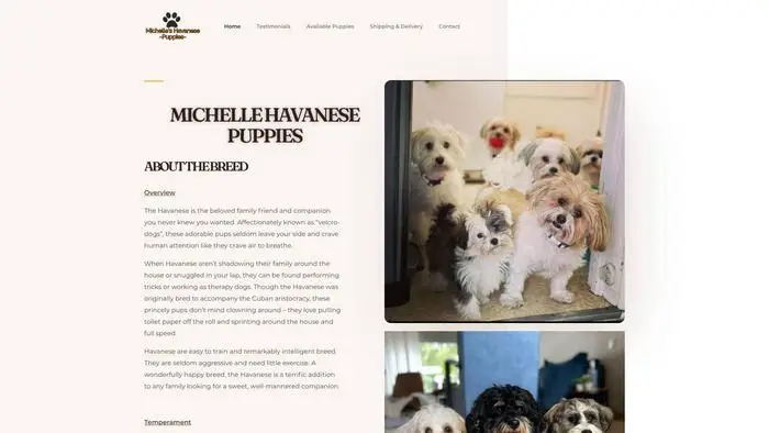 Screenshot of