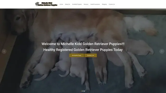 Screenshot of