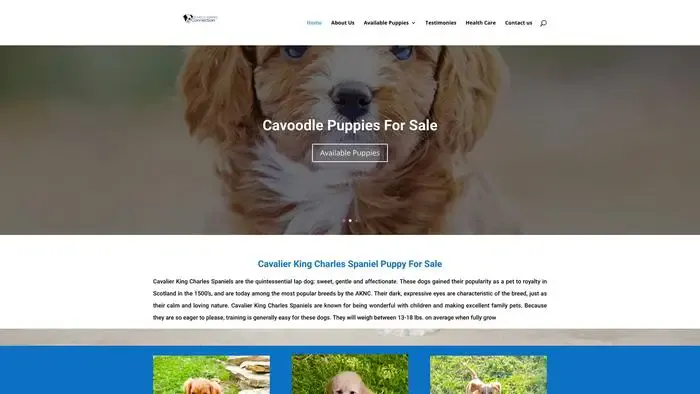 Screenshot of