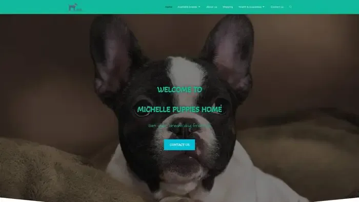 Screenshot of