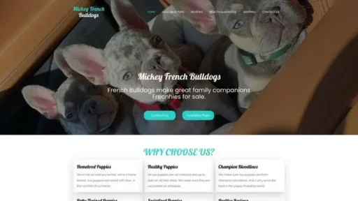 Screenshot of