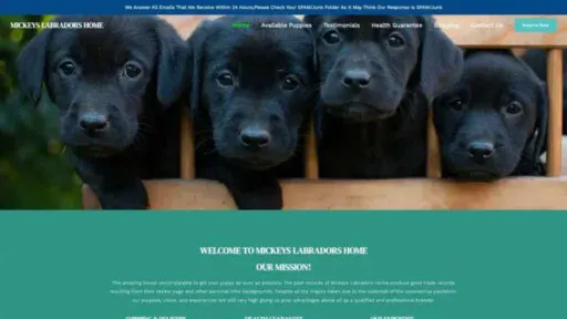 Screenshot of||