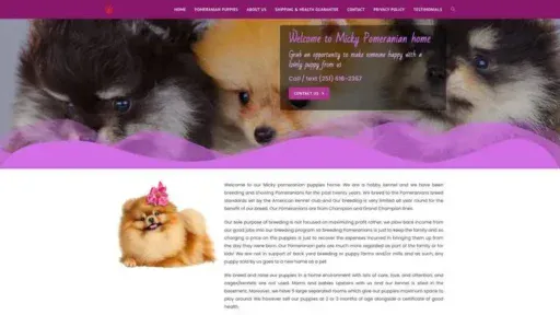 Screenshot of